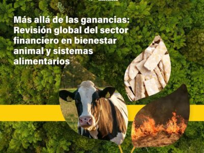 Nuevo informe revela el papel crucial de la banca en la transformación de los sistemas alimentarios