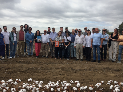 Representantes de los sectores algodonero y de la moda visitan los campos de algodón andaluces con EUCOTTON